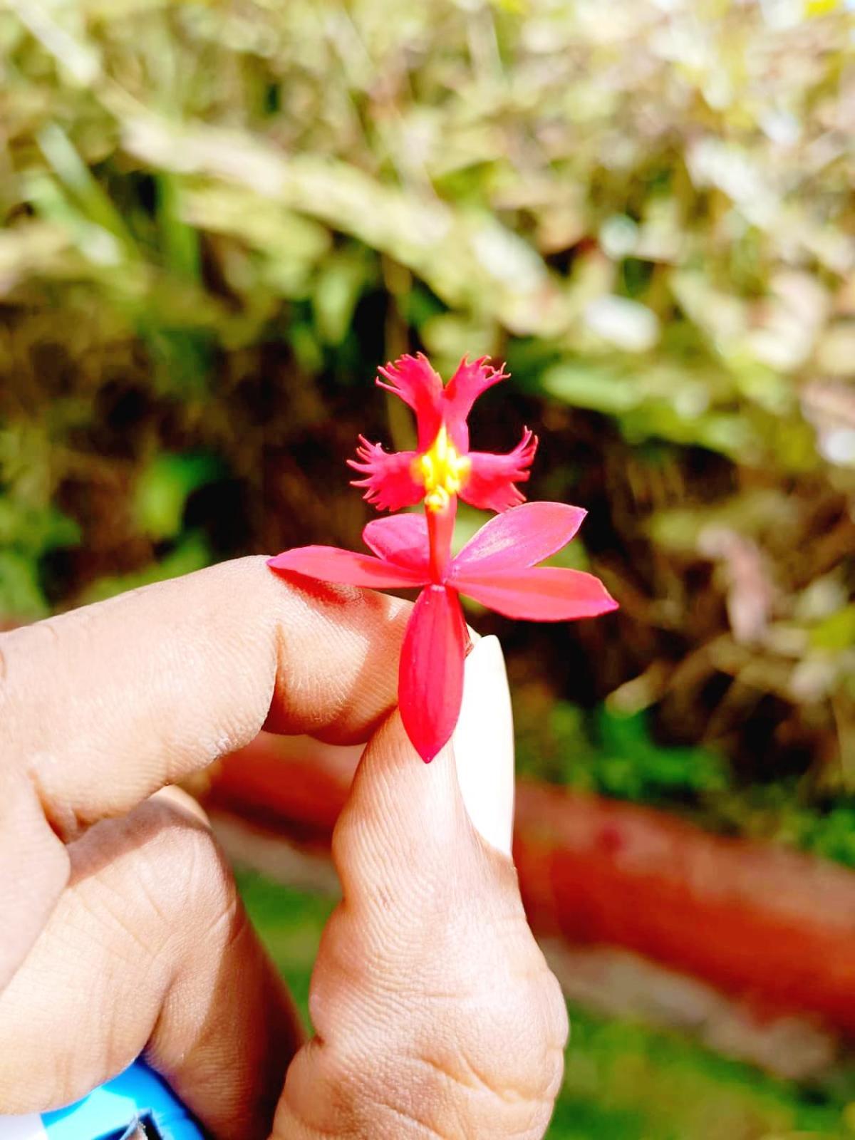 Kodai Riya Paradise コダイカナル エクステリア 写真