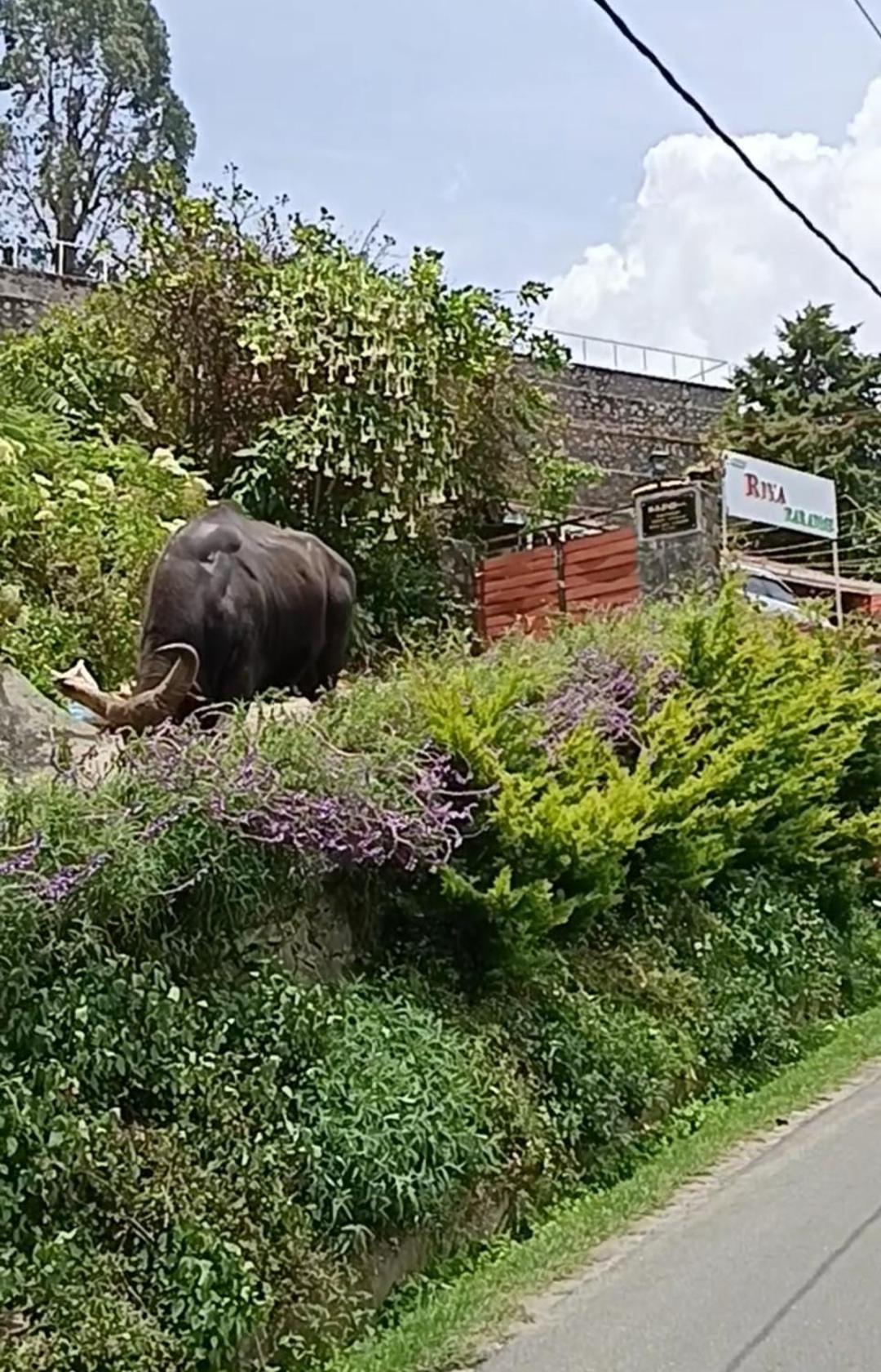 Kodai Riya Paradise コダイカナル エクステリア 写真
